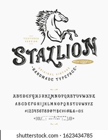 Font Stallion. Craft retro vintage typeface design. Graphic display alphabet. Uppercase and lowercase letters. Latin characters and numbers. Vector illustration. Old badge, label, logo template.