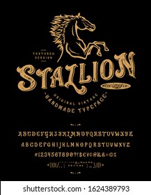 Font Stallion. Craft retro vintage typeface design. Graphic display alphabet. Uppercase and lowercase letters. Latin characters and numbers. Vector illustration. Old badge, label, logo template.