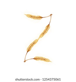 Font Z. Paddy rice, malt, barley, wheat design