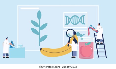 Food additives research, vector flat illustration. Scientists working in biotechnology lab. Food additives study. Genetic engineering. Genetically modified foods, gene technology.