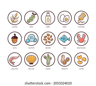 Food allergen icon set. Icons of the main ingredients that must be declared as allergens. Very useful for restaurant menus and meals. Colorful vector icons.