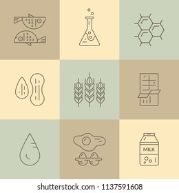 Food allergen icons. Vector line series. Food intolerance symbols for restaurants, farm markets and menu. Special diet illustration.