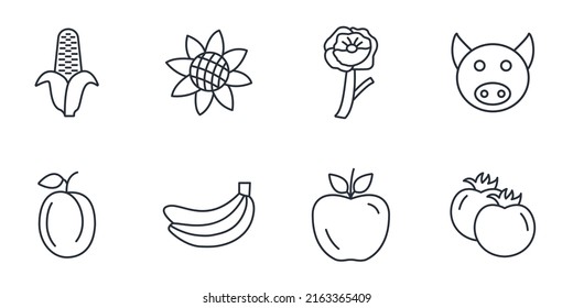 Food allergens icons set . Food allergens pack symbol vector elements for infographic web