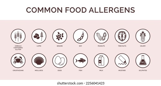 Food allergens and ingredients icon set, food label and packaging concept