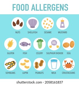 Food allergens set in flat design. Allergy products. Meal allergies.