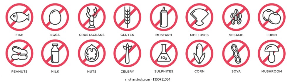Food allergy icons. Basic allergens and diet line icons vector set. Isolated on white background 