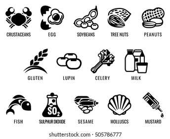 Food allergy icons including the 14 food allergies outlined by EU Food Information for Consumers Regulation EFSA European Food Safety Authority Annex II which encompass the big 8 FDA Major Allergens