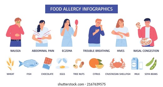 Food Allergy Infographic Nausea Abdominal Pain Eczema Trouble Breathing Hives Nasal Congestion Wheat Fish Chocolate Eggs Tree Nuts And Other Descriptions Vector Illustration