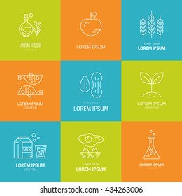 Food allergy symbols made in vector. Food intolerance icons for restaurants, farm markets and menu. Special diet illustration.