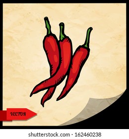Food background with set simple sketch icon red hot chili peppers isolated on grunge paper texture background with black frame. Doodle cartoon drawing illustration. Vintage. Retro style - vector