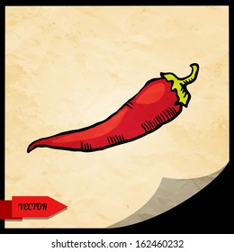 Food background with simple sketch icon red hot chili pepper isolated on grunge paper texture background with black frame. Doodle cartoon drawing illustration. Vintage. Retro style - vector