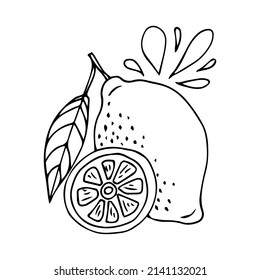 Food background. Stylized hand drawn lemon, water splashes on a white background.Vector illustration 