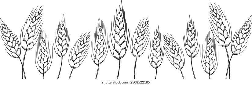 padaria de banner alimentar, pastelaria com trigo, aveia, cevada, centeio, caules de orelhas de trigo, campo em fundo amarelo e espaço para texto, espaço de cópia