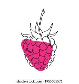 Fruto de frambuesa de alimentos Elemento gráfico de la línea de arte para el diseño