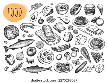 Food big set. Cooking ingredients and cooked meals. Hand drawn ink sketches. Retro style.