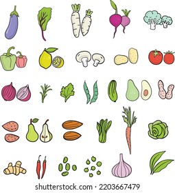 Food break hand drawn vegetables and dry fruits collection