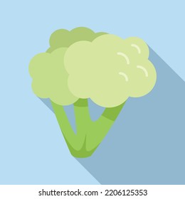 Food brocoli icon flat vector. Plant salad. Vegetable plant