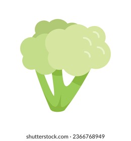 Food brocoli icon flat vector. Plant salad. Vegetable plant isolated