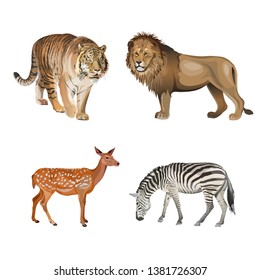 Food chain animals. Predators and herbivores. Tiger, lion, zebra and deer. Vector illustration isolated on white background