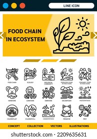 food chain concept detailed line icons collection for website, ux, ui, app. Vector illustration included such as ecology, biological, producers, consumer, decomposer, photosynthesis, chemosynthesis
