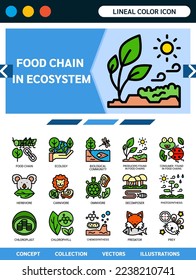 food chain concept detailed lineal color icons collection for website,ux,ui,app. Vector illustration included such as ecology,biological,producers,consumer,decomposer,photosynthesis,chemosynthesis