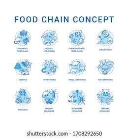 Food chain concept icons set. Primary, secondary and tertiary consumers. Top carnivores. Life cycle idea thin line RGB color illustrations. Vector isolated outline drawings. Editable stroke