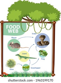 Food chain diagram concept illustration