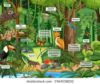 713 Jungle food chain Images, Stock Photos & Vectors | Shutterstock