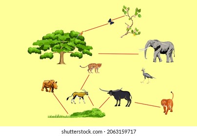 713 Jungle food chain Images, Stock Photos & Vectors | Shutterstock