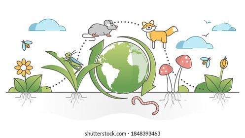 Food Chain Process Cycle With Producers And Apex Predators Outline Concept. Natural Animal Wildlife Feeding Web Levels Example Vector Illustration. Detritivores Or Decomposer Species Educational Model