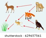 Food chain vector illustration 
