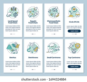 Food chains onboarding mobile app page screen with concepts set. Biological process. Ecosystem walkthrough 4 steps graphic instructions. UI vector template with RGB color illustrations