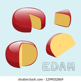Food Cheese Type Edam Vector Illustration