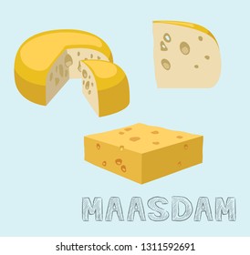 Food Cheese Type Maasdam Vector Illustration