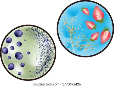 Food composition with blue porridge, strawberry topping and green with blueberry topping. Vector