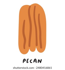 Food concept. Pecan. Flat illustration. Hand drawn vector design on white background.