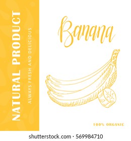 Food design with fruit. Hand drawn sketch of banana. Organic fresh product for card or poster design for cafe, market. Colorful vector illustration