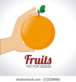 Food design over white background, vector illustration Food design over white background, vector illustration