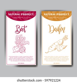 Food design with vegetable. Hand drawn sketch of beet and daikon. Organic fresh product for card or poster design for cafe, market. Colorful vector illustration