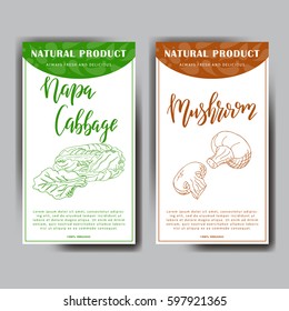 Food design with vegetable. Hand drawn sketch of napa cabbage and mushroom. Organic fresh product for card or poster design for cafe, market. Colorful vector illustration