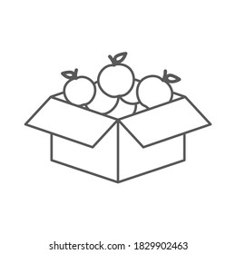 Food donations linear icon. Charity food collection. Box with meal, apples. Humanitarian volunteer activity. Thin line illustration. Contour symbol.