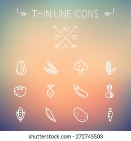 Food and drink thin line icon set for web and mobile. Set includes-beans, eggplant, potato, cauliflower, turnip, corn, avocado, carrot  icons. Modern minimalistic flat design. Vector white icon on