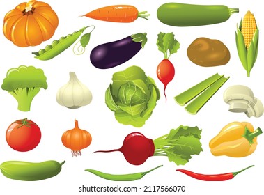 Food  Drink vector Set of traditional food icons vector design of beef meat tartare, meatball with cheese and focaccia bread with ham and vegetables.