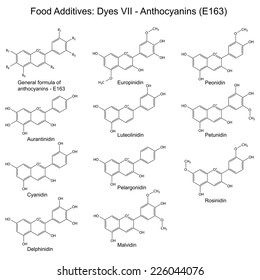 Food Dyes And Plant Pigments- Anthocyanins, Structural Chemical Formulas, Seventh Set E163, 2d Illustration On A White Background, Vector, Eps 8