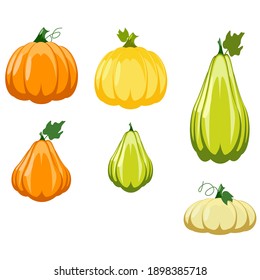 Food from farmer, colorful pumpkins. Flat design. Vector illustration