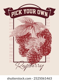 food fashion for t shirt, raspberry organic fruits, natural sweet , From California to Paris , girls graphic tee print design, women's vector graphics design,  summer t-shirt design, sweatshirt, 