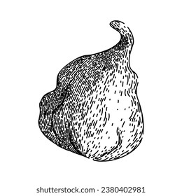 food fig hand drawn. fresh healthy, natural organic, ingredient sweet food fig vector sketch. isolated black illustration