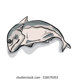 food, fish