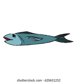 food fish icon image 