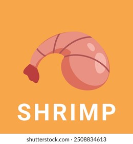 Food flat illustration  meat, shrimp, egg and fish 